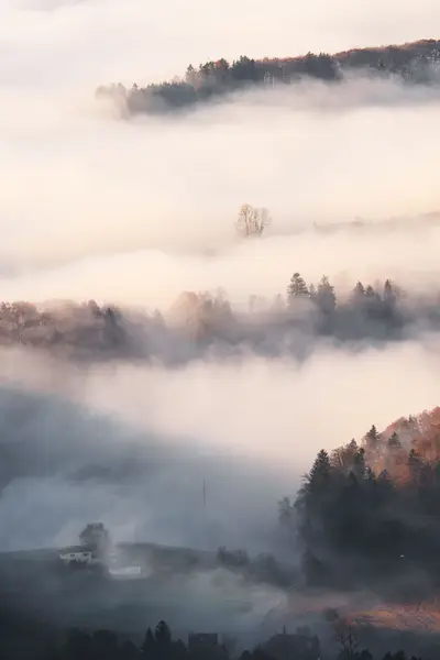 Der Nebel schlängelt sich durch die hüglige Landschaft.