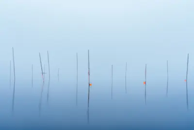 Spiegelglattes Wasser und Nebel umgeben mehreren Pfosten, die ruhig und still aus der Oberfläche ragen - Fine Art Fotografie, die Ruhe und Klarheit ausstrahlt.